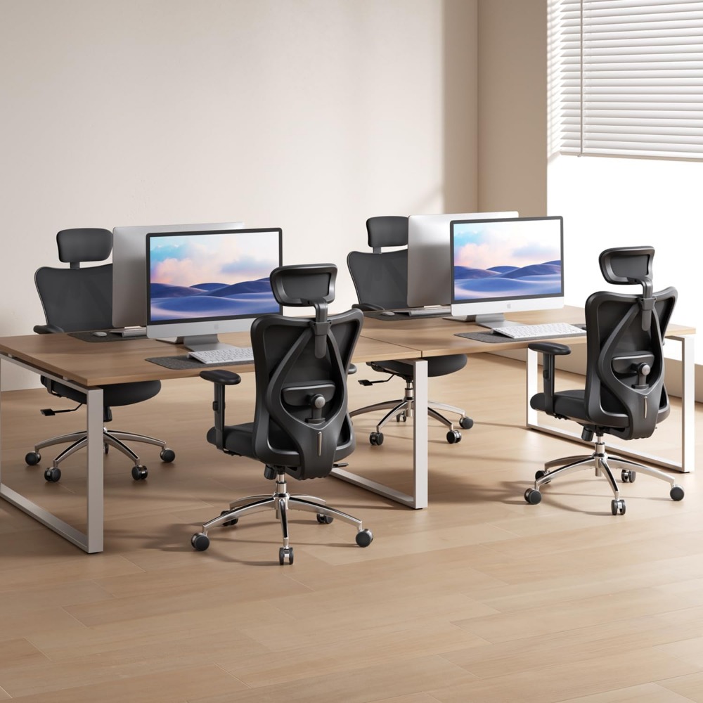 인체공학적 메쉬 데스크 의자, 조절 가능한 요추 지지대 - Home Office Desk 리뷰 및 가격